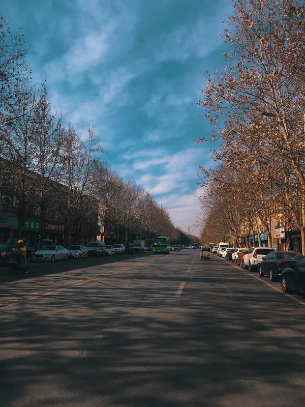 今天出门，路上的冬日街景让我眼前一亮。就像广州的冬天，花草依旧多彩。那鸡蛋花树，