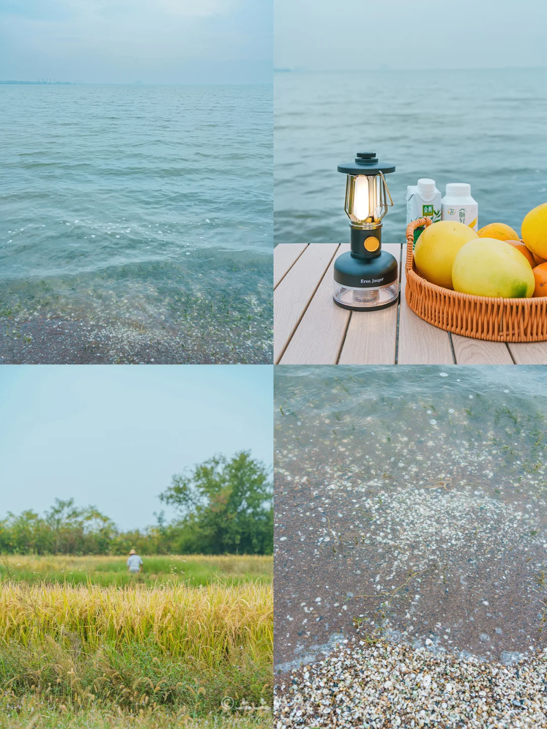 去无人打扰的露营地“吹海风”｜武汉🏕️