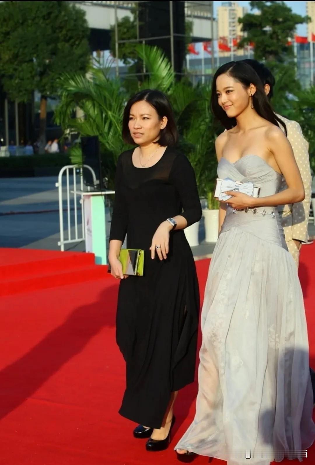 辛芷蕾的这张很漂亮啊，以前的她眉清目秀的好漂亮，比现在漂亮多了，温婉典雅，嘴唇没