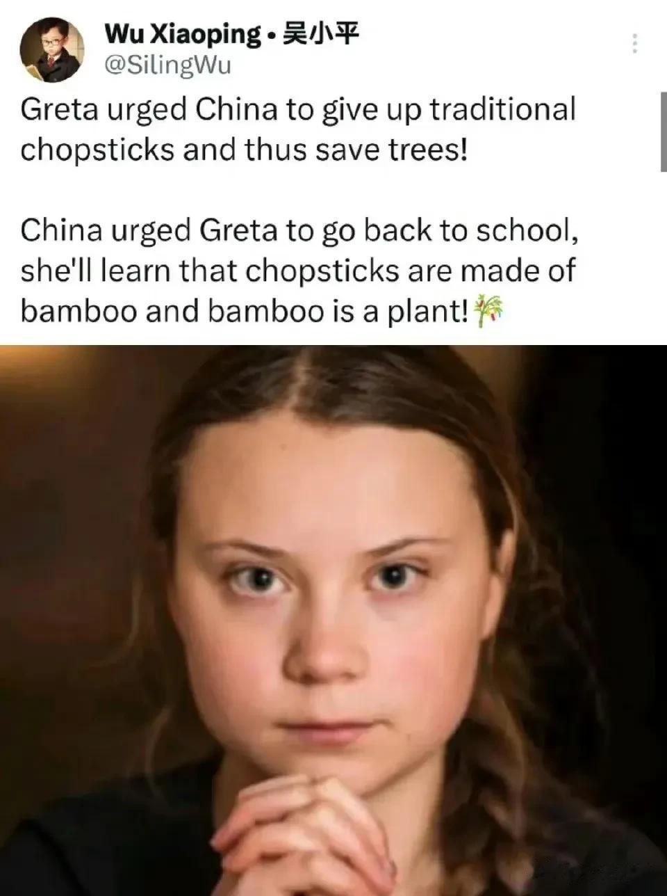 瑞典环保少女最近又开始找存在感了，这次她把目标又盯上了中国！她说：中国人使用筷子