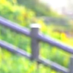 贺峻霖贺峻霖0615生日快乐贺峻霖 廿二振翮踏青云“世界上没有人会事事顺心，总会