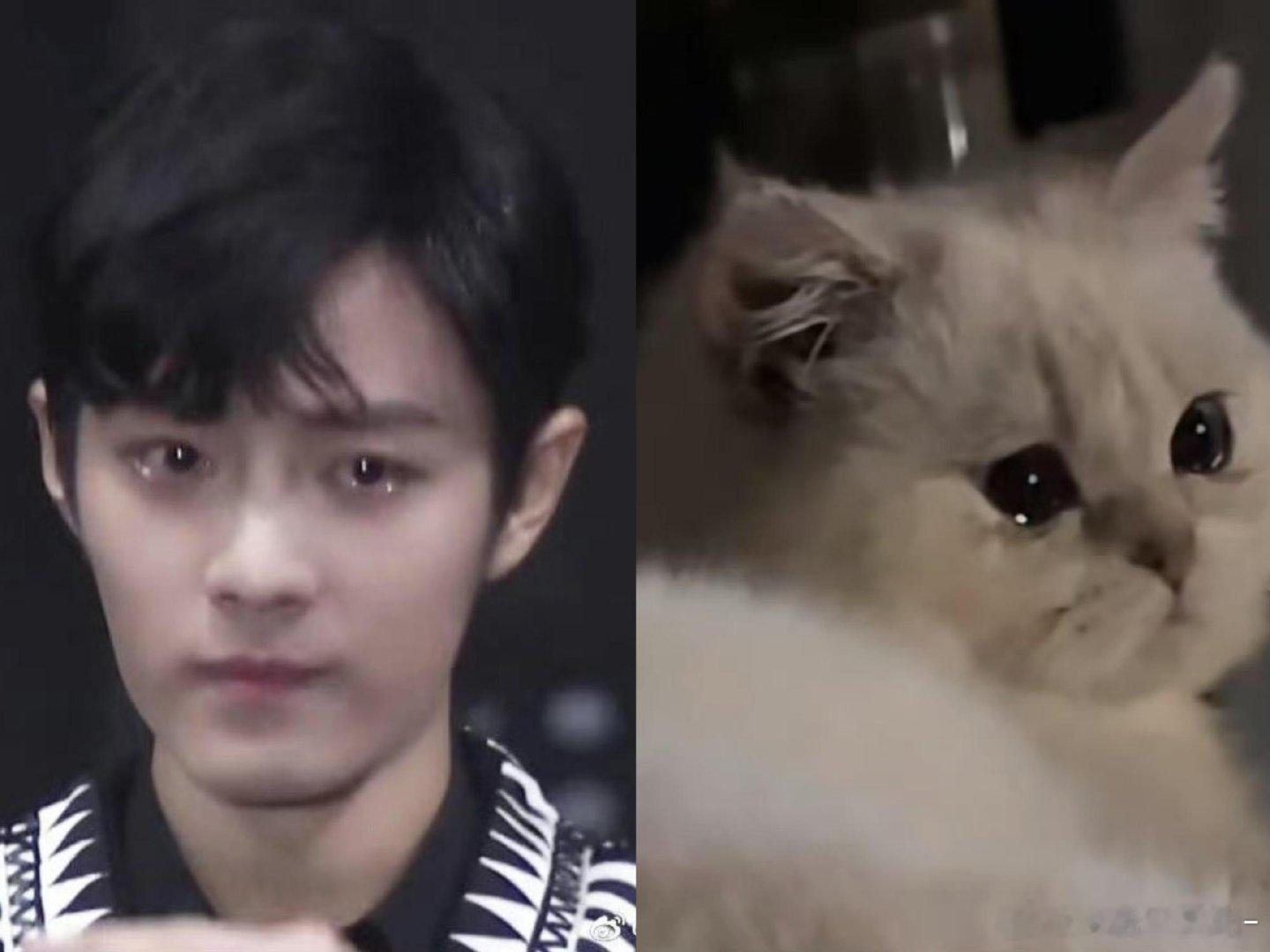 小战宝宝就是萌物中的萌物 萌物中的统治者 萌物之主 萌物的终结者 萌王 萌师 萌