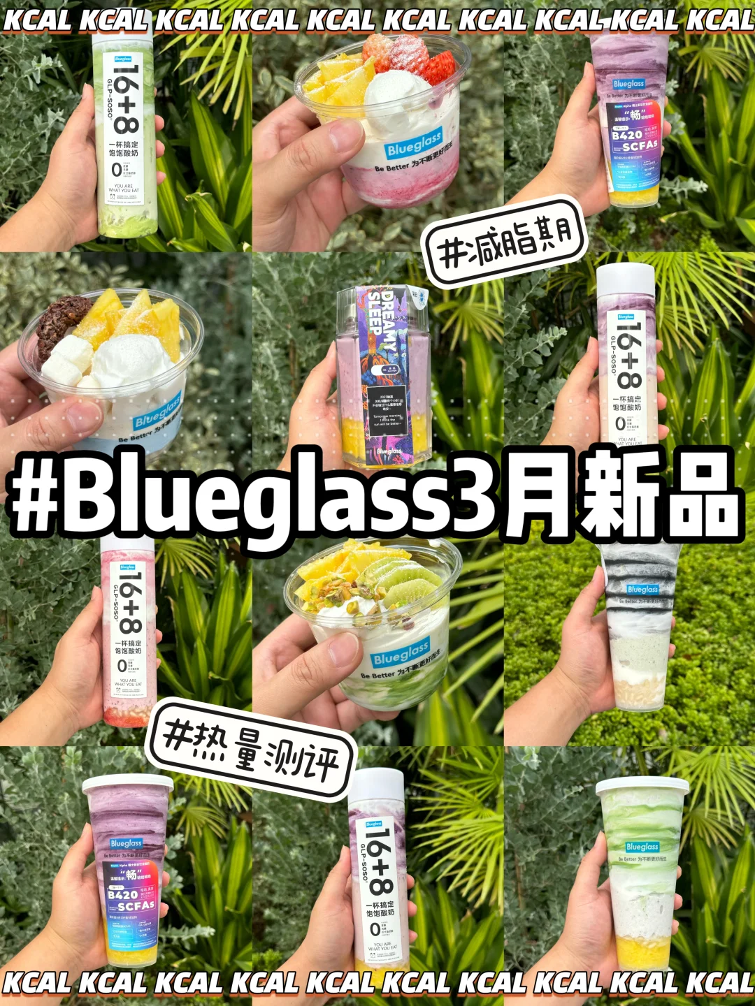 15款实测🍍3月金菠萝‼️blueglass热量测评