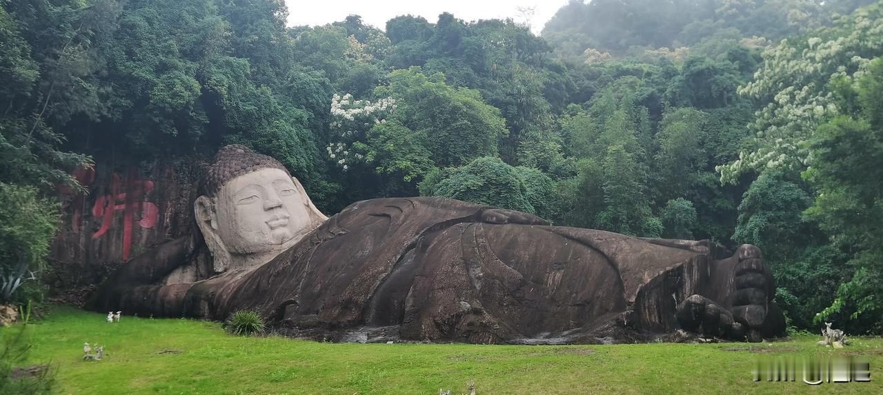 三明市沙县区淘金山卧佛