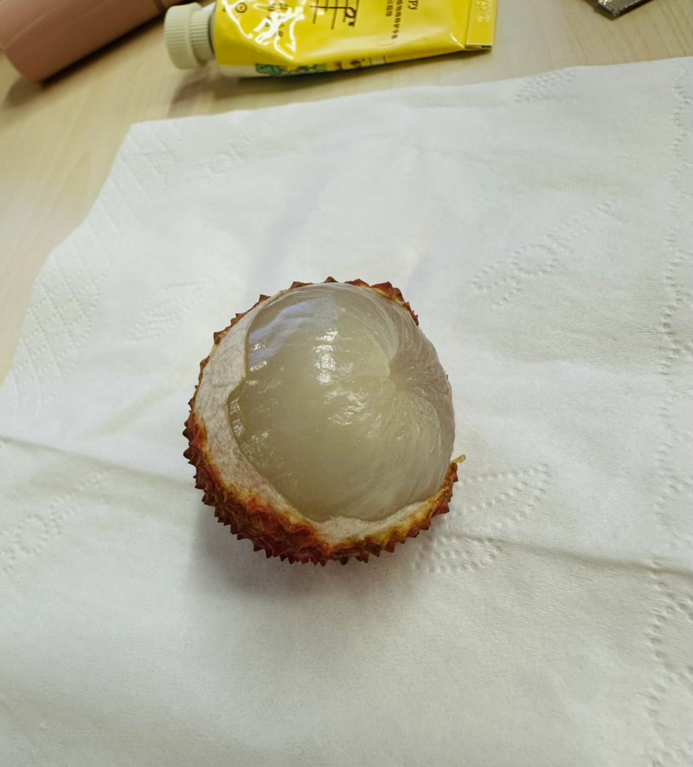 一颗有点微死的桂味 