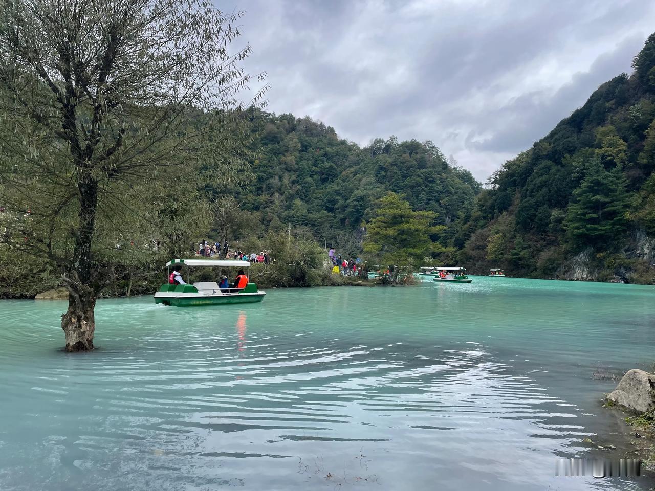 【天净沙•高山草地清泉】
高山草地清泉，
幽林峪水深潭，
松柏牛羊影现。
白云秋