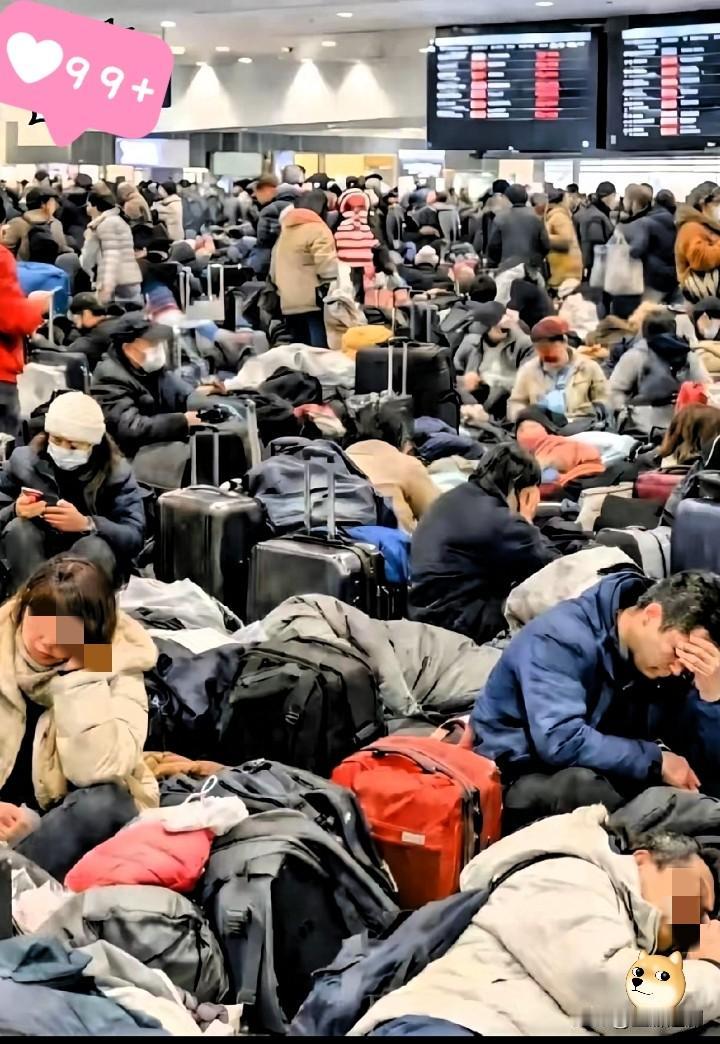 看到北海道滞留的游客，全网一片幸灾乐祸，说实话这次我坚决站网友这边！

明知是暴