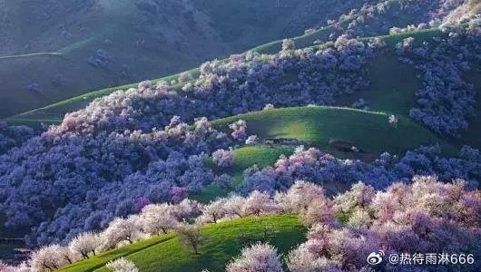 【春游推荐】四月份这些地方美得要死，你知道吗？人间四月，春暖花开，枝头添绿;草木