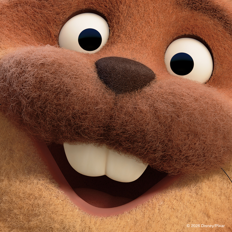 分享一组河狸变身计划 超萌头像🦫 