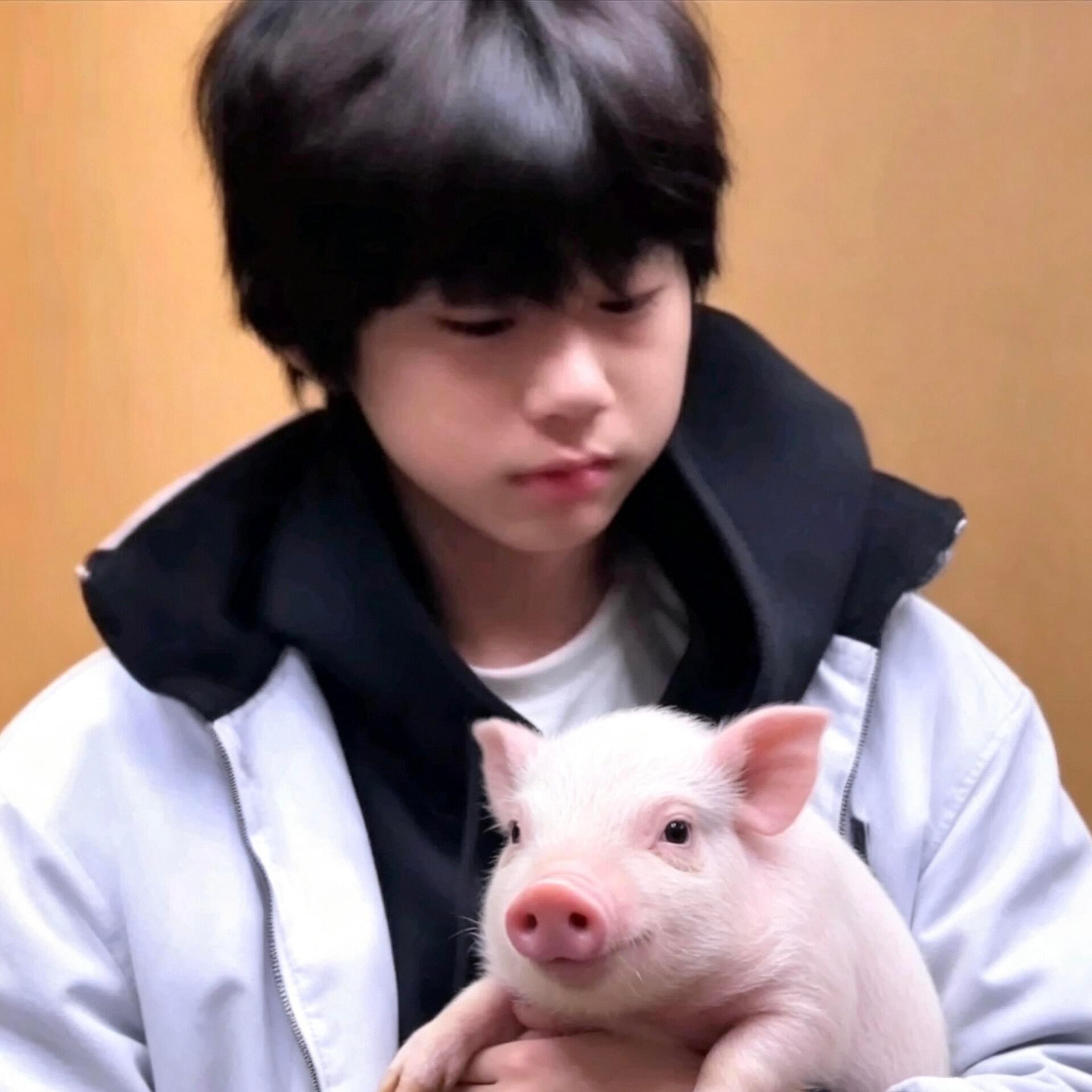 沉默不是代表我的猪🐷 