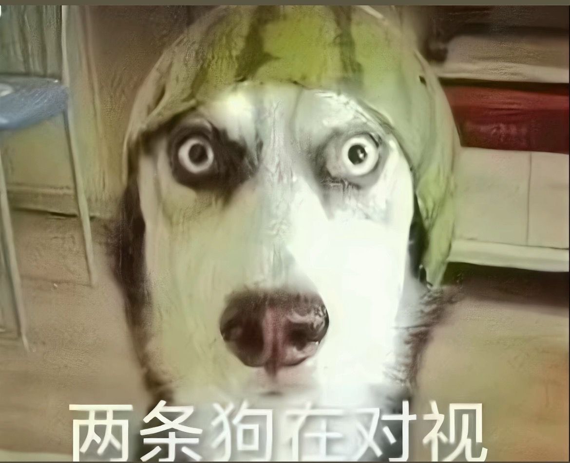 终于结束了终于不用每天签一些乱七八糟的超话了 ​​​