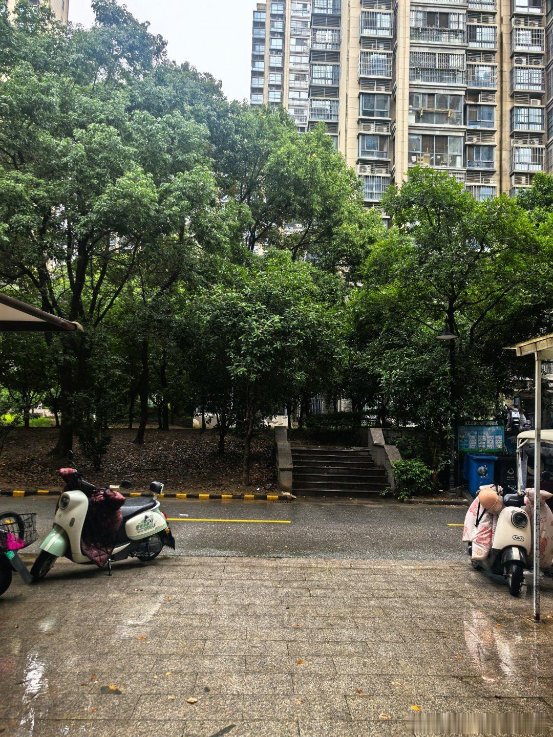 今年的夏天也太懂事了！刚热了两天，老天爷就安排了一场及时雨。吹着凉风，听着雨声，