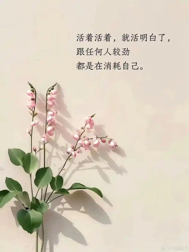 活得通透的人是啥样子？
       活得通透的人，宛如一本读不尽的智慧之书。他