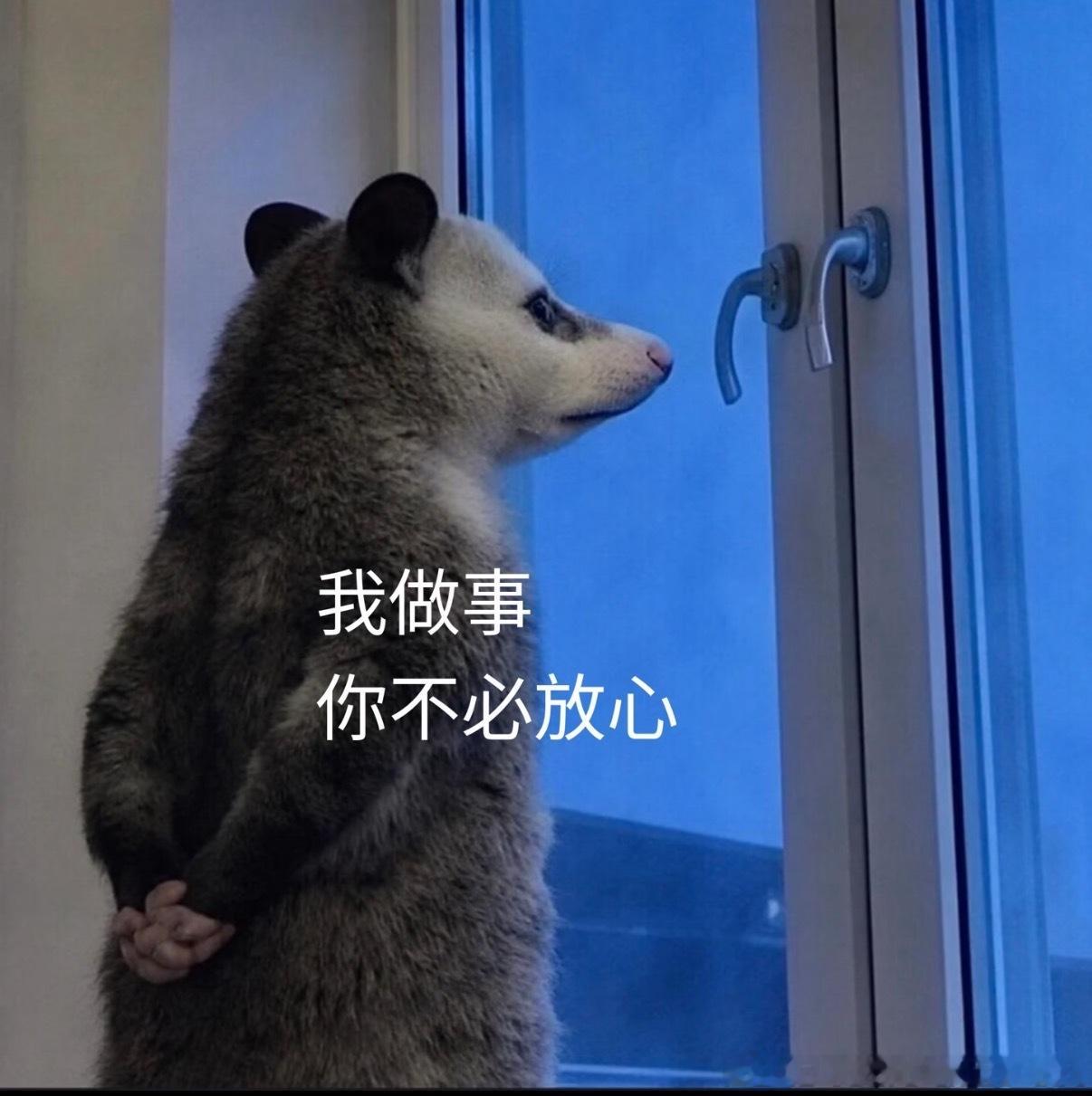 前途一片阴暗，好凉快人生一波三折，好便宜生活千疮百孔，好透气人生一眼望到底，好视
