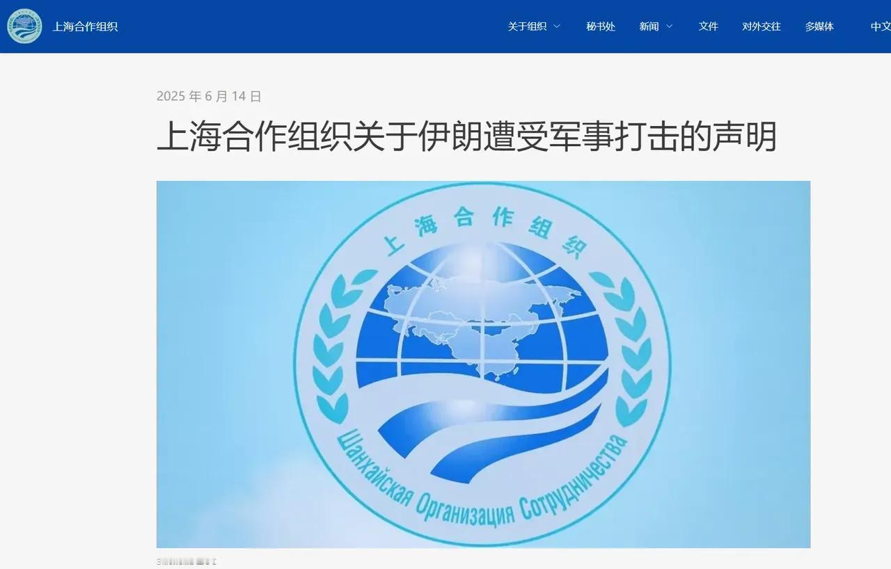 上合组织发声明声援伊朗，印度说，没和我商量，不代表我。伊朗挺可悲的，印巴冲突前，