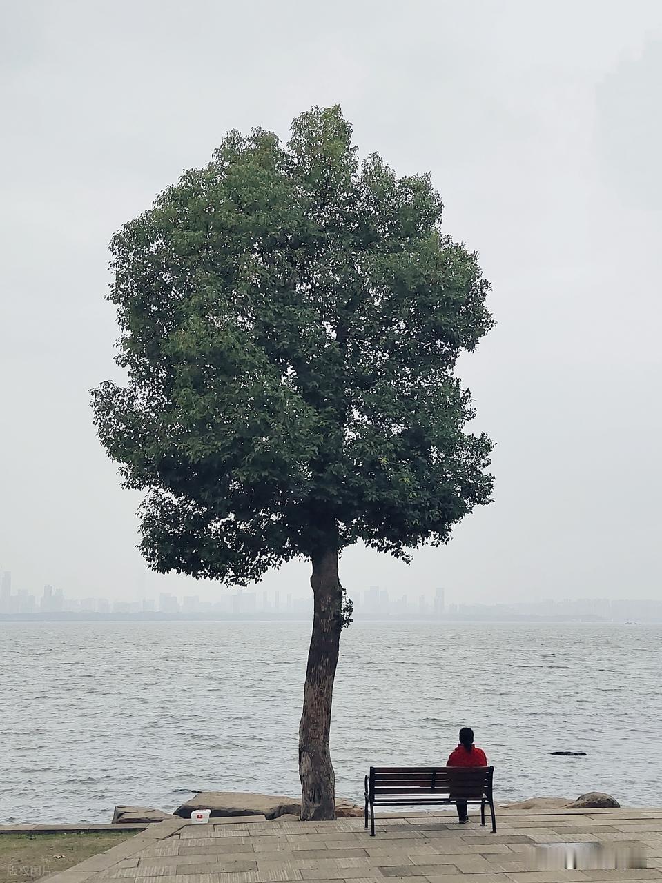 成年人最高级的通透：戒掉对任何人的期待
 
人生感悟 成年人的世界 治愈自己 人