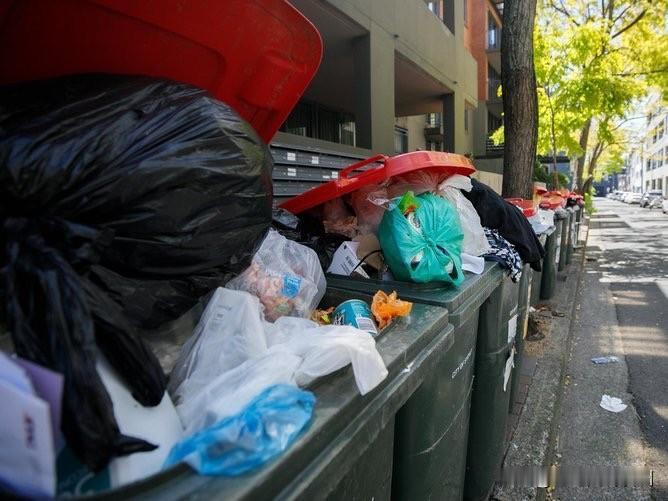 澳洲柴油短缺引爆垃圾危机：若不解决，全澳垃圾桶或将停收

垃圾清运公司警告称，柴