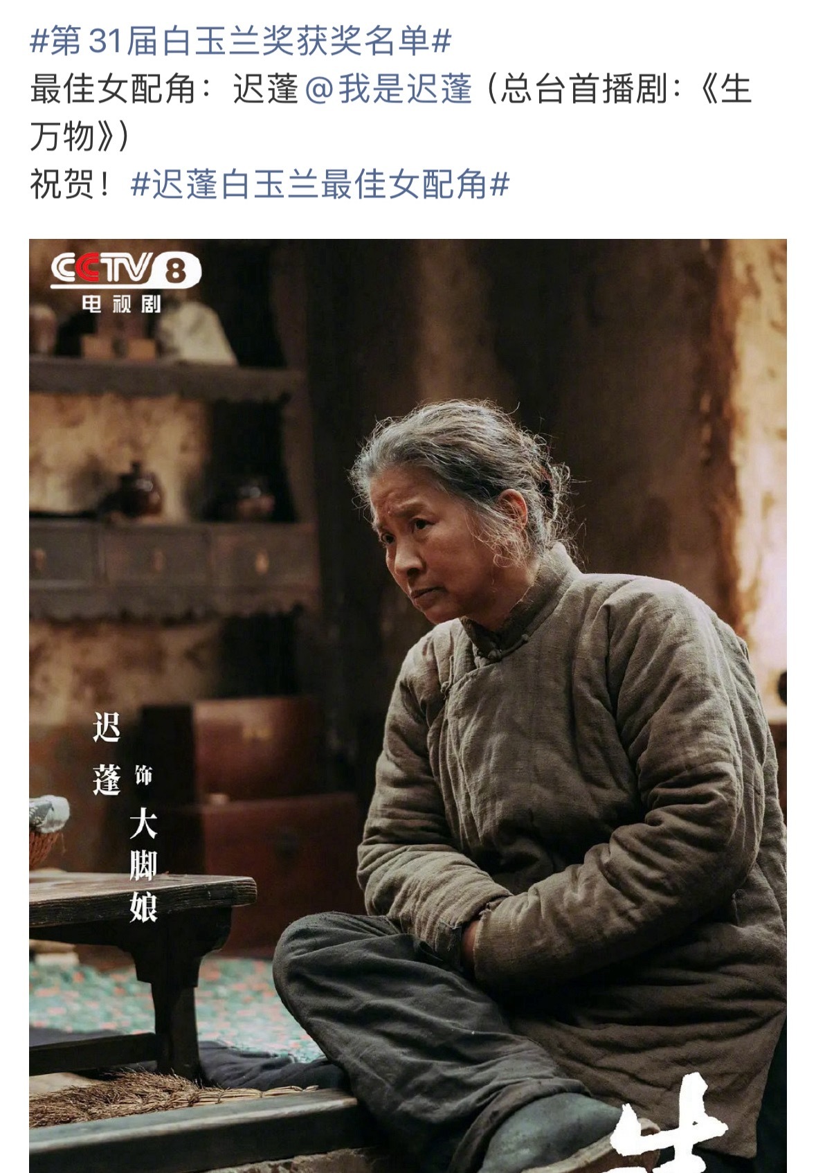 白玉兰最佳女配：迟鹏 