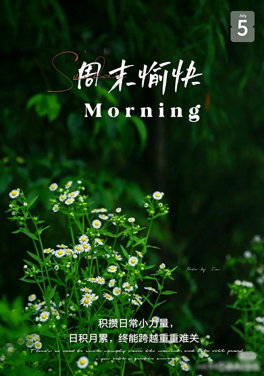 🧃🥑²º²⁶/₀₇.₀₄ ღº ✐ 🔆 ᴹᴼᴿᴺᴵᴺᴳ🌿好运从来不会凭空