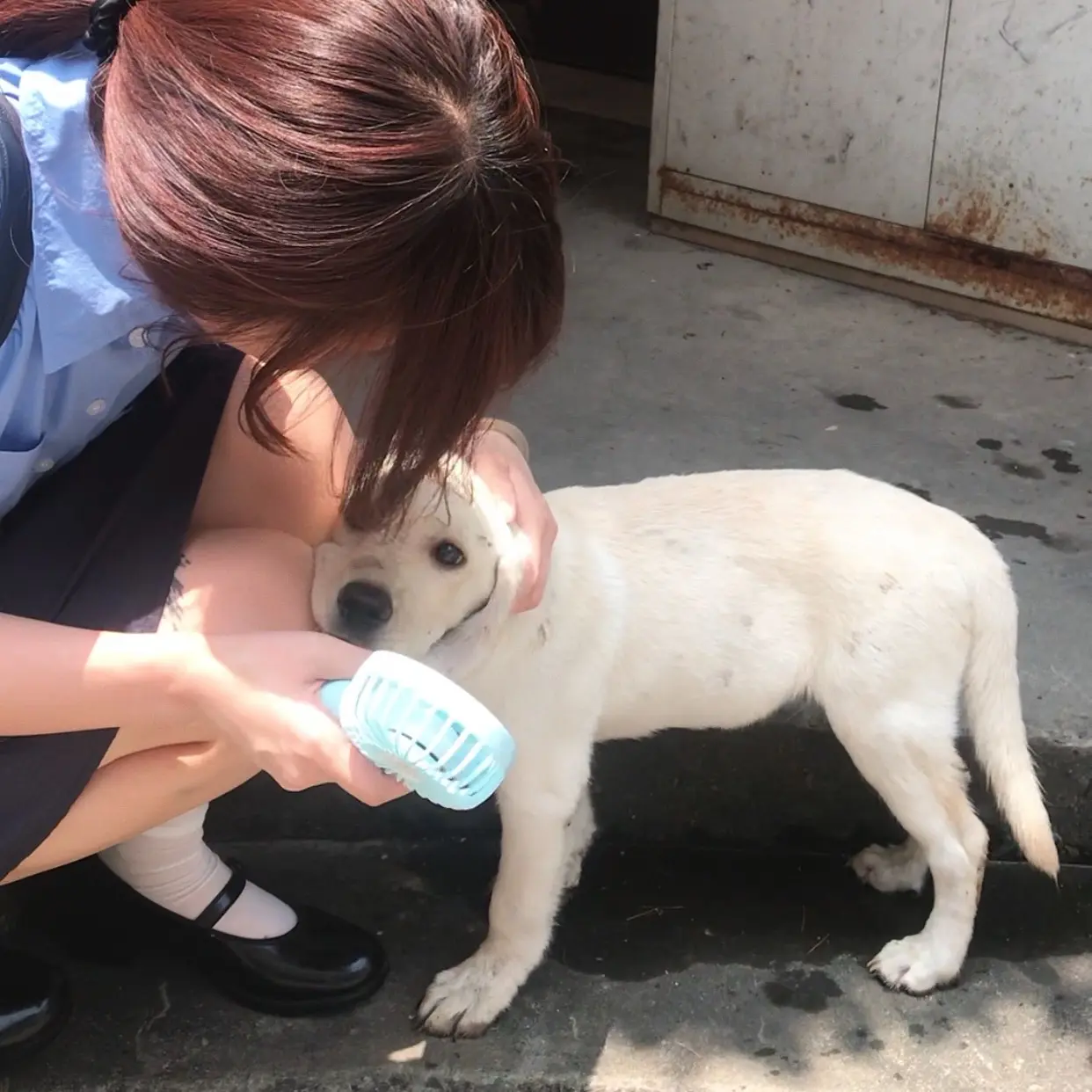 是脆弱的人类需要小狗天使啊。