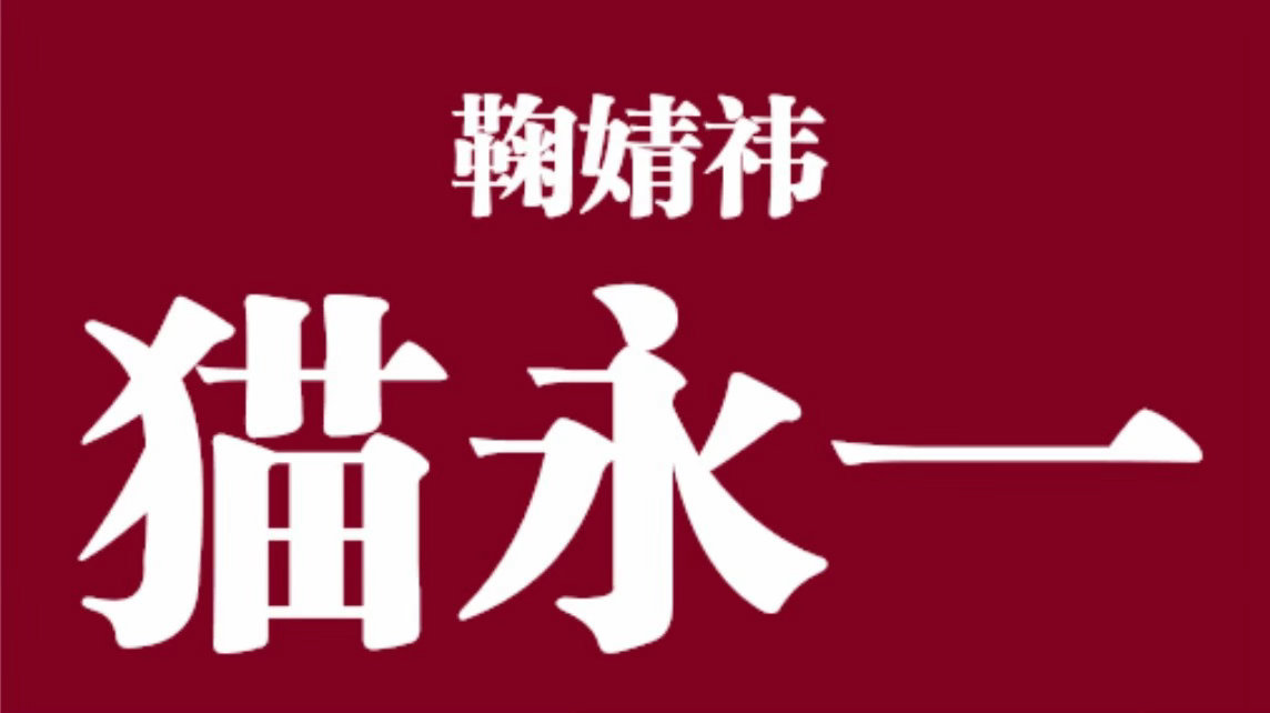 猫永一不解释！全力托举猫塑登顶！✋🏻🐱🤚🏻鞠婧祎 橘国第一届动物塑登顶之