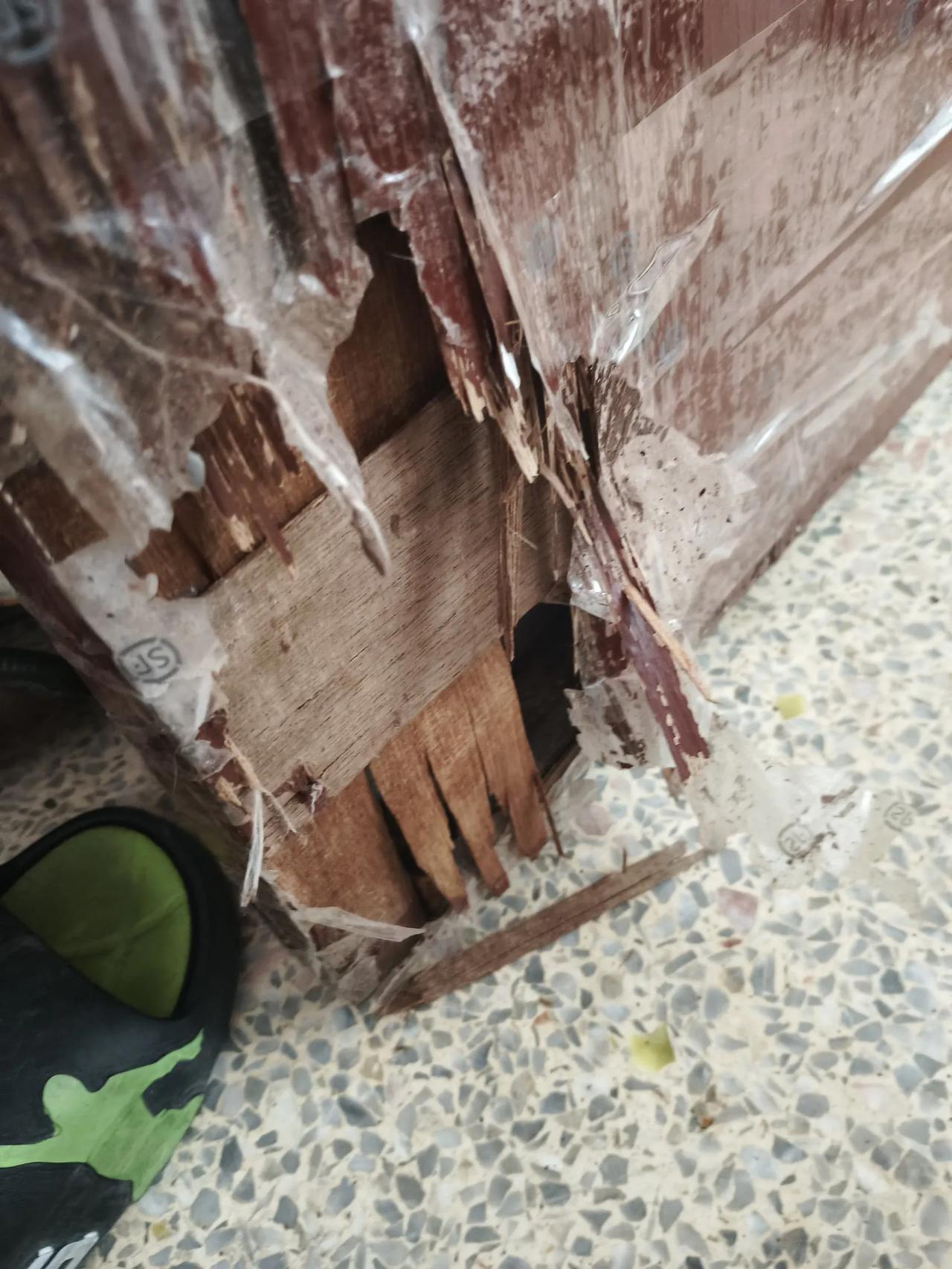 今天早上送儿子上班回来，刚走到楼梯口，就听到我家小猫在楼道里凄厉的叫声，原来是儿