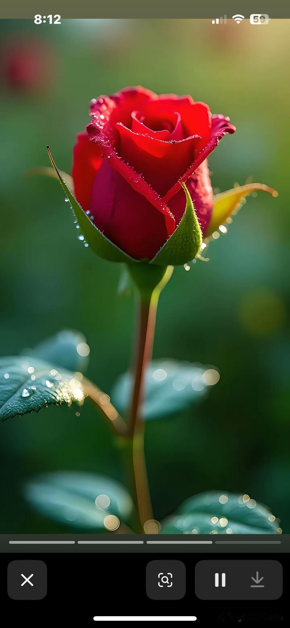 邻居小妹妹，今年都快30的人了，介绍了好几个对象，都没有成功。
小区的好心人，再