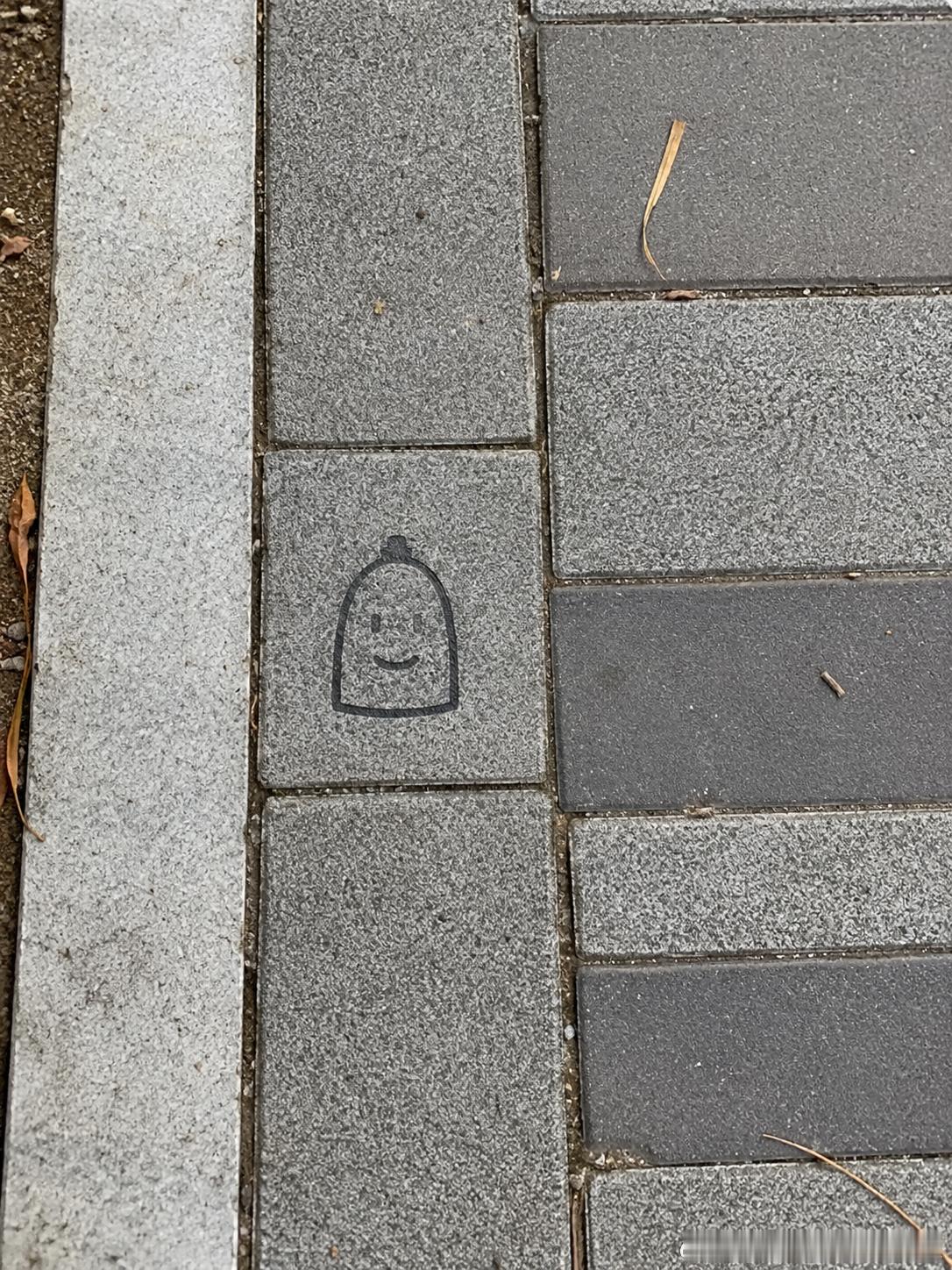 240 低头发现地上有个笑脸😊 
