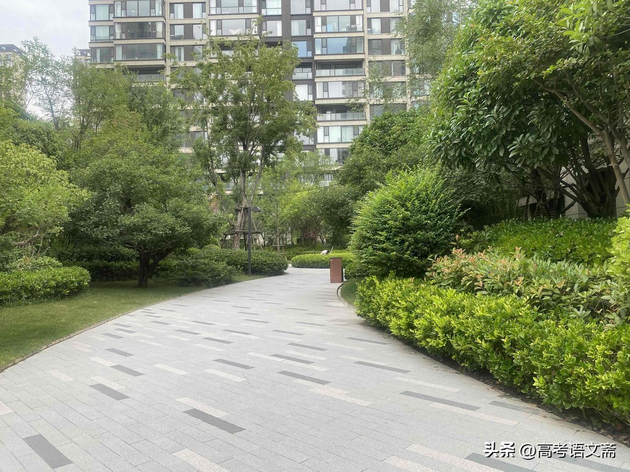 晒图笔记大赛城市绿洲，静谧生活，享受自然之美。