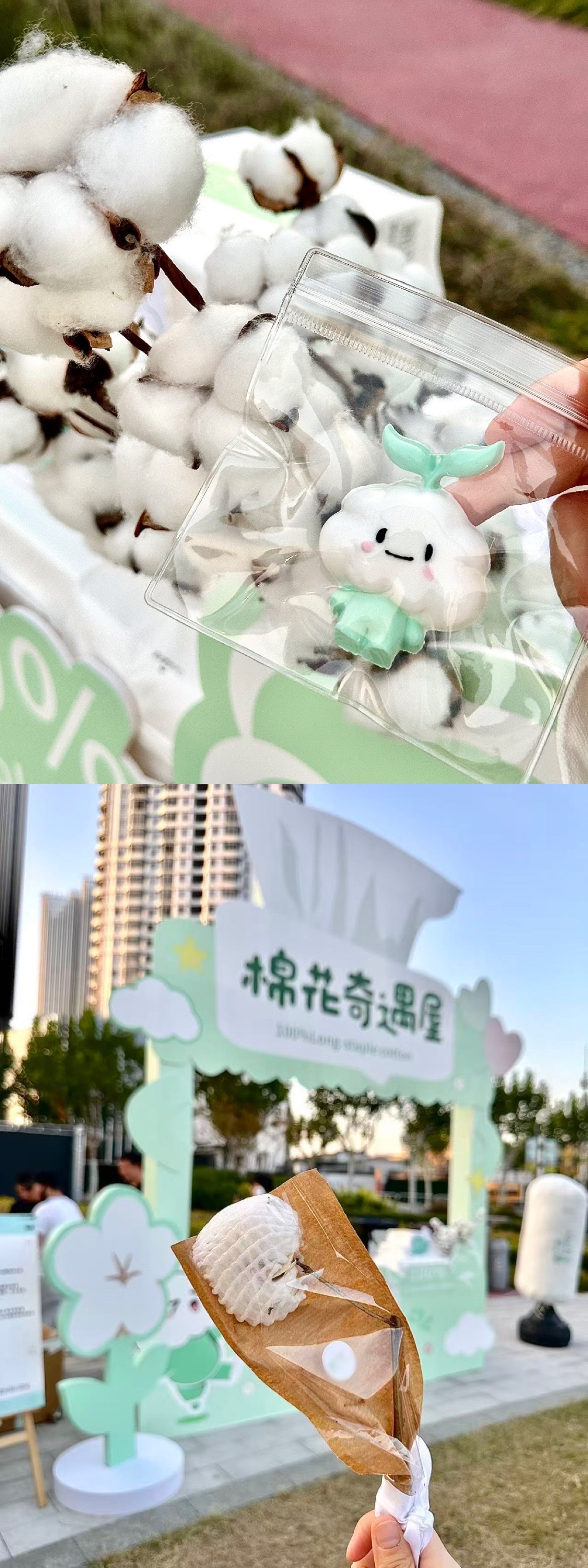 在上海街头转角遇到新疆棉田了 好好好上海的打工人们有福了，新疆棉田这次直接“搬”