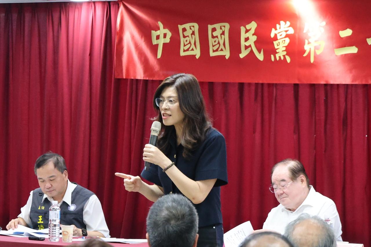 「国民党已从羊群变狮群」　郑丽文：拚年底胜选、2028年立法机构单独过半并执政