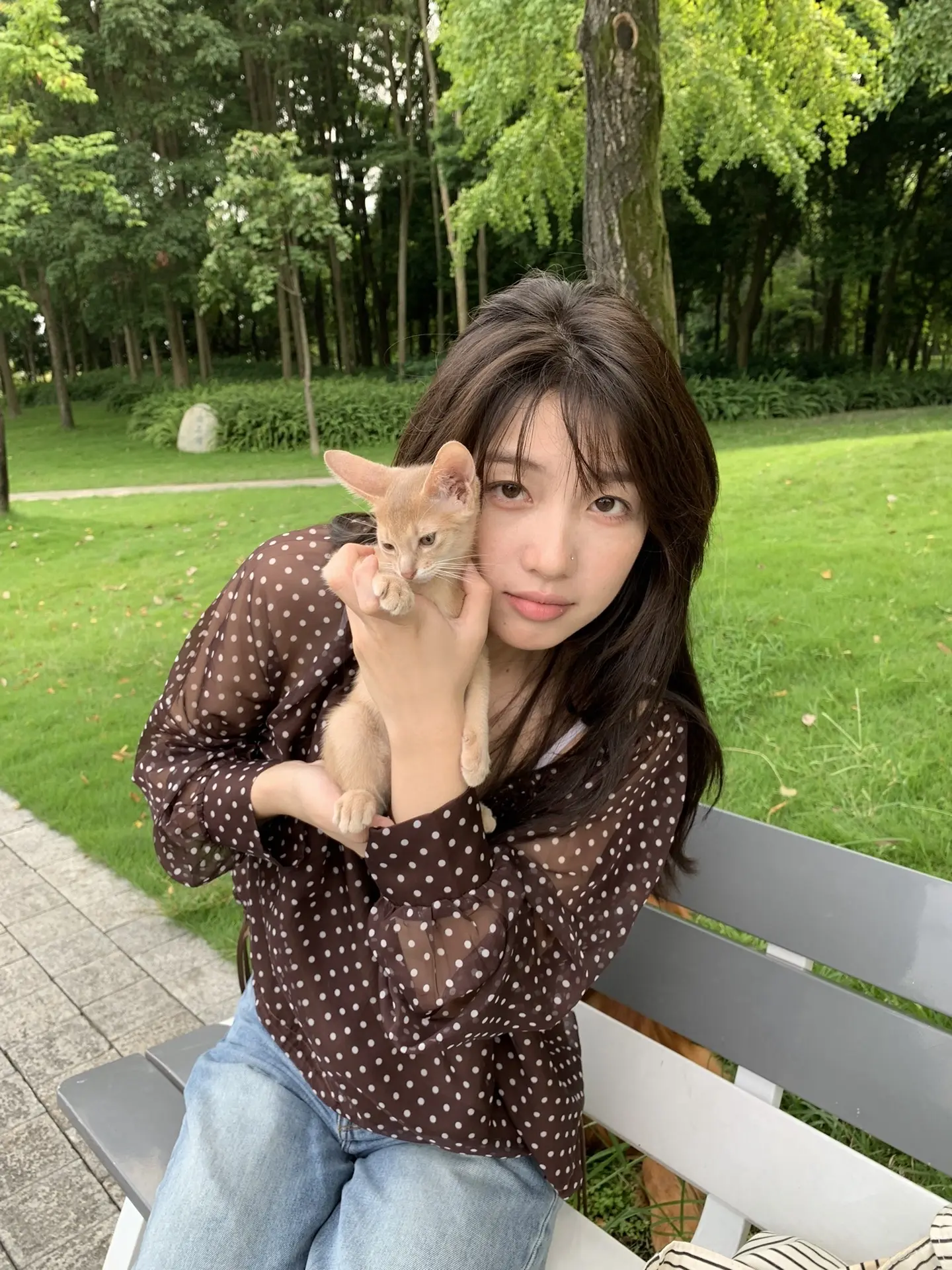 追求幸福就像小猫第一次踏上草坪时伸出的小爪子，好奇惊喜，但不敢轻举妄动...