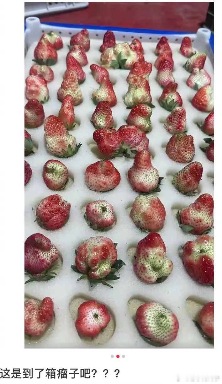第一次看到一箱草莓毫无食欲这草莓吃完感觉立马都得变异形种了，倒找钱都不敢吃！