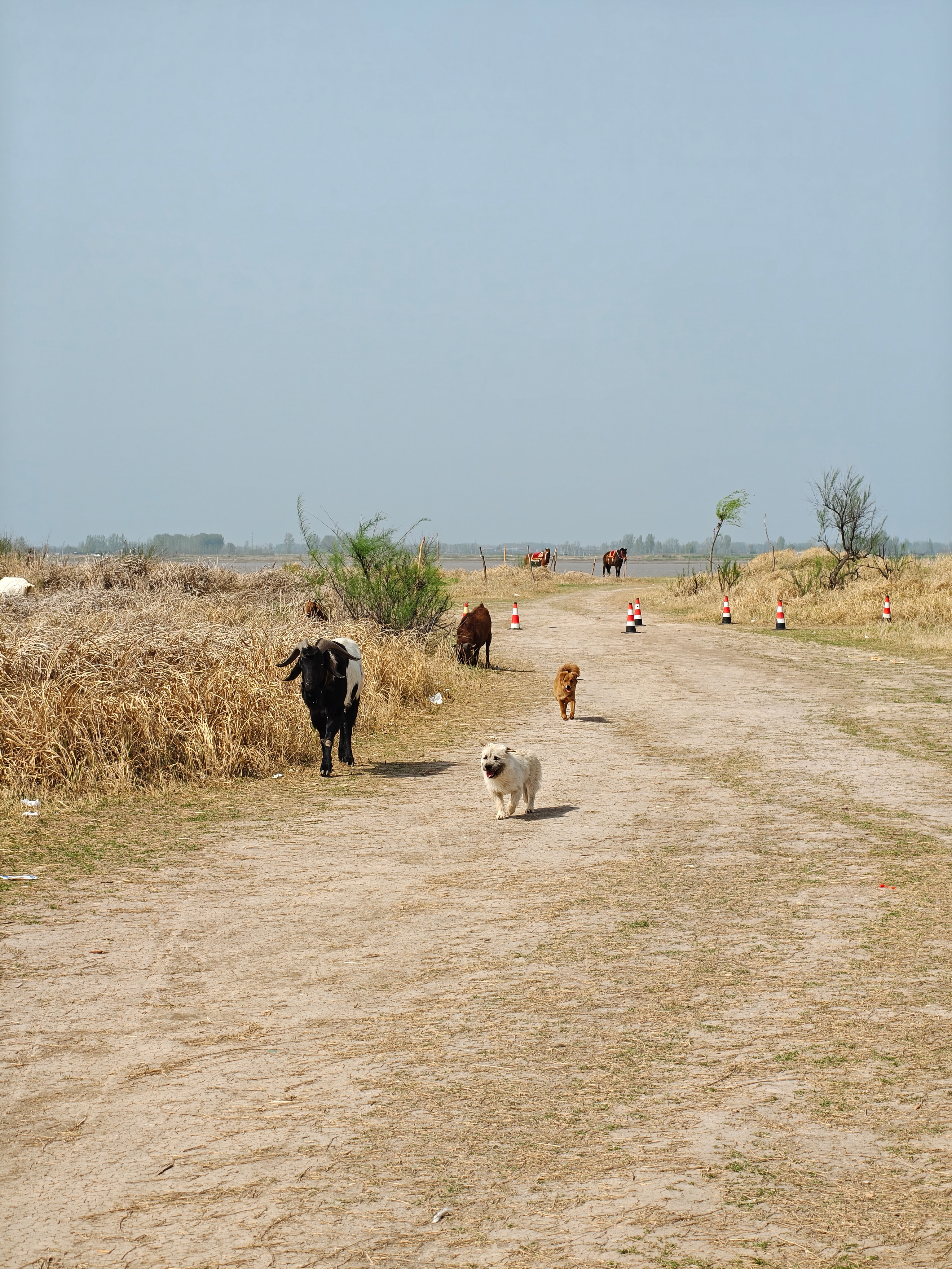 可能男人过了25真的就不太行了，以前坐上硬座，我都愿意去探索一个小县城，现在我有