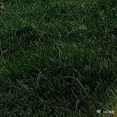 要及时清醒，也要事事甘心，想开、看开、放开～阳光信用[超话] ​​​