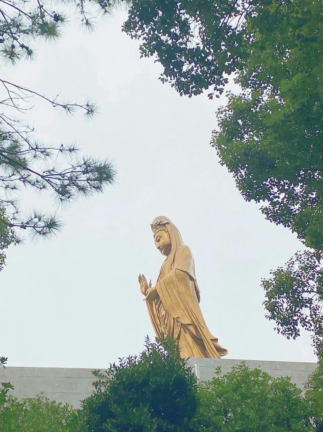 刷到观音菩萨，不要无视，评论很灵的。🙏 ​​​