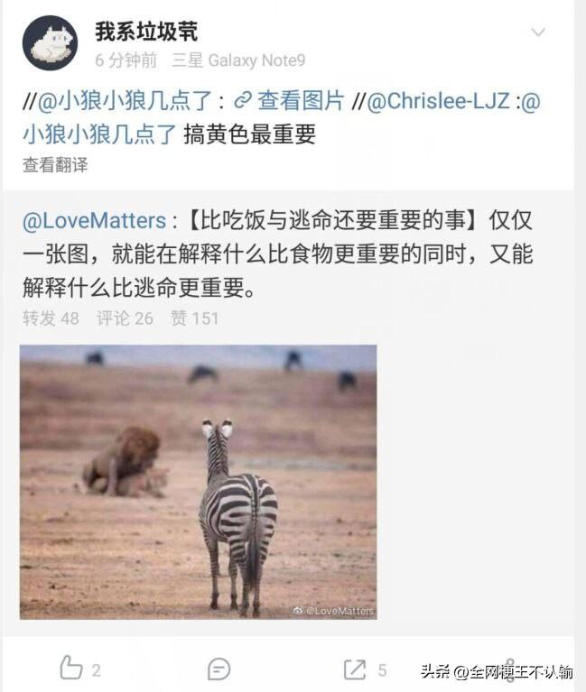 【比吃饭与逃命还要重要的事】仅仅一张图，就能在解释什么比食物更重要的同时，又能解