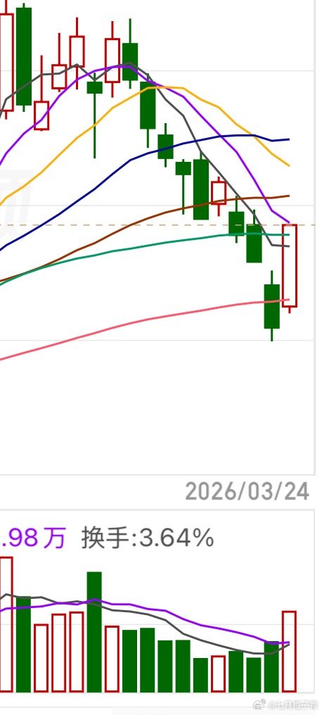 昨天反弹买盘这样的关注放在靠前哈，如果周线趋势没有破位，也出现底部阳倒锤最好。七