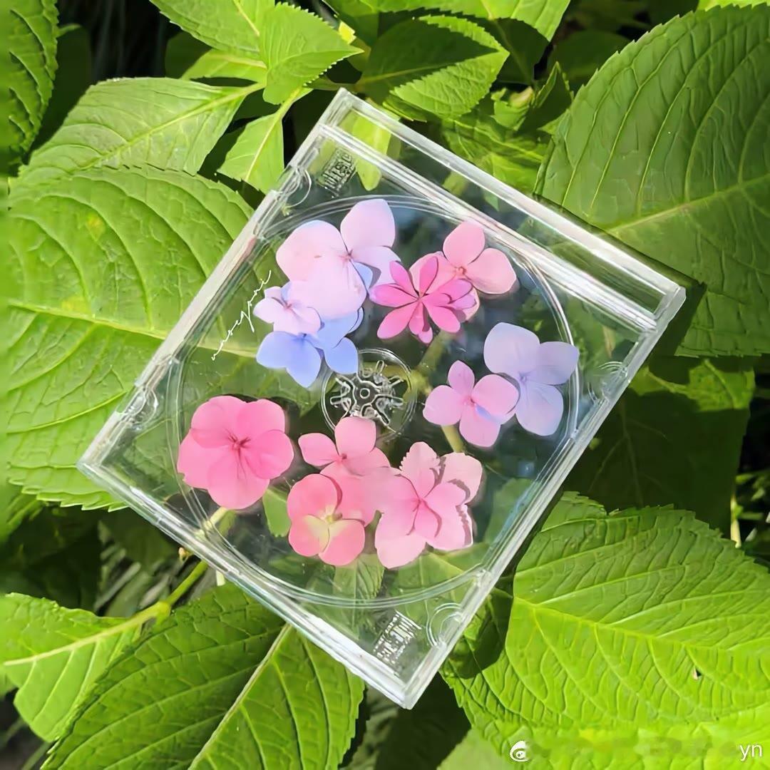 权重[超话]不是所有鲜花都盛开在春天，不是所有河流都流向大海，鲜花盛开在四季，河