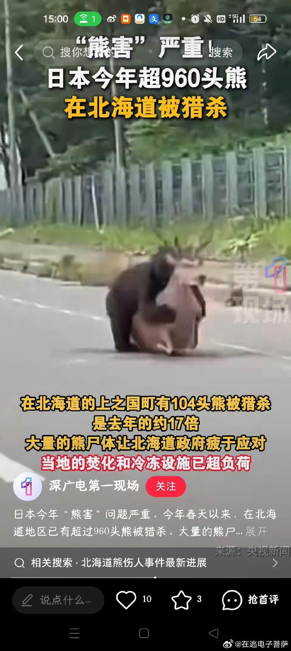 谁能想到北海道的赏雪季，竟被熊尸堆积的难题搅得焦头烂额？截至11月底，当地已猎杀