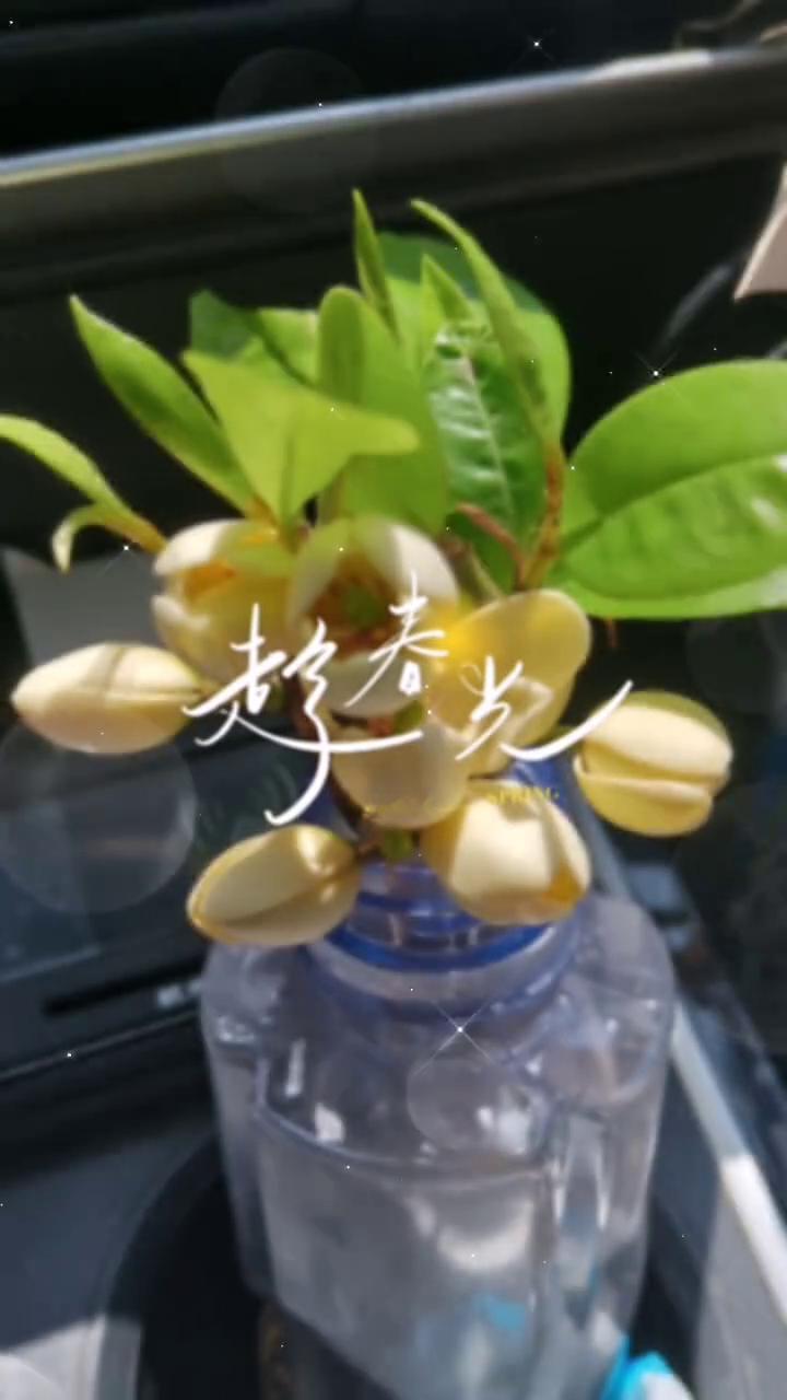 好。