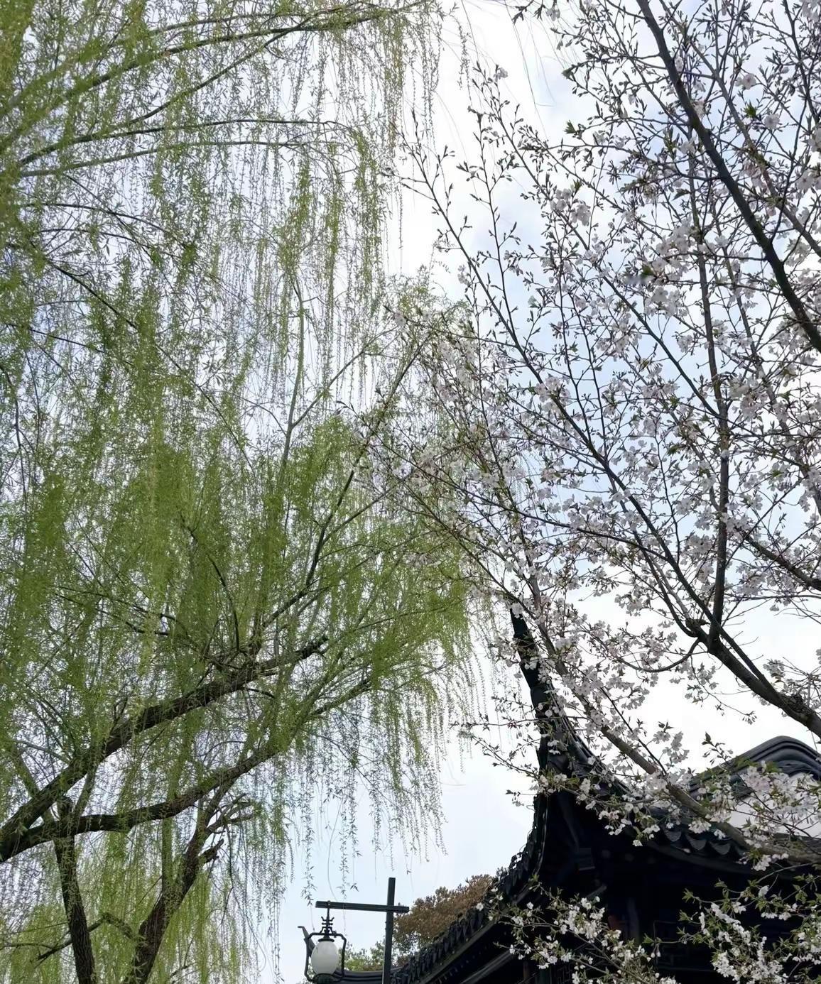广州百花洲 广州百花洲 周末去哪儿 亲子游玩好去处 周边游