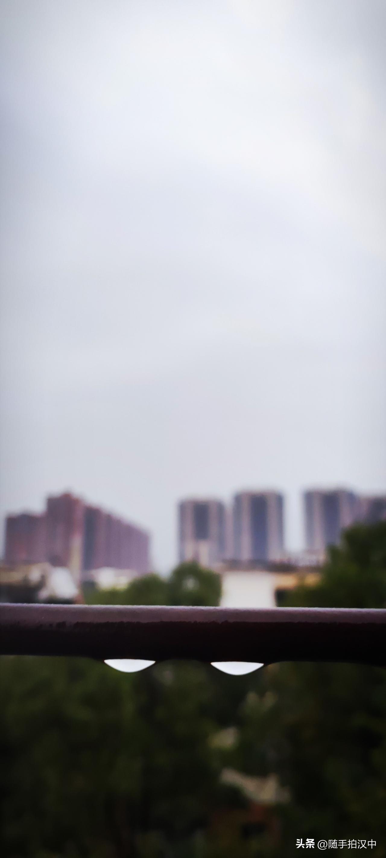 集卡领红包零星的雨丝，只沾湿了叶片。那就窝在床上吧，捧一杯刚煮好的苹果水，睡不睡