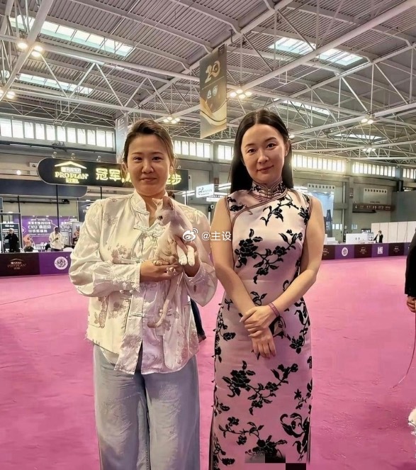 霍思燕这照片也太真实了 
