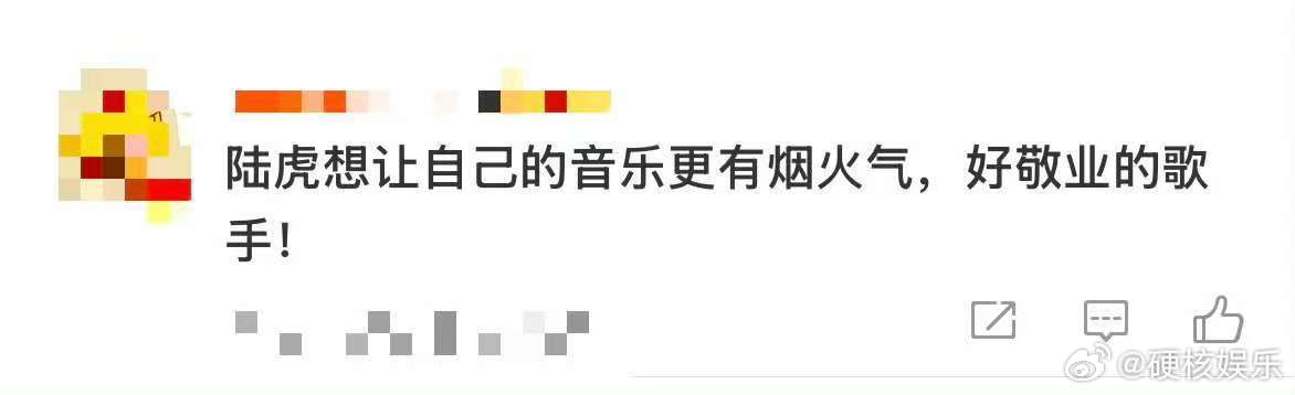 陆虎想让自己的音乐更有烟火气 陆虎在《乐在旅途》中的这番话，真的让人感受到了他对