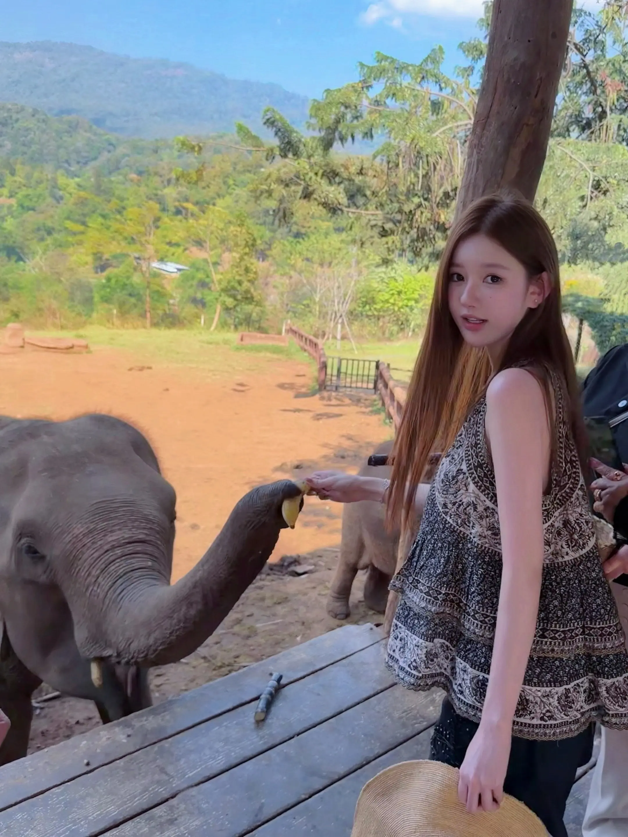 我能和你的鼻子握握手嘛 🐘