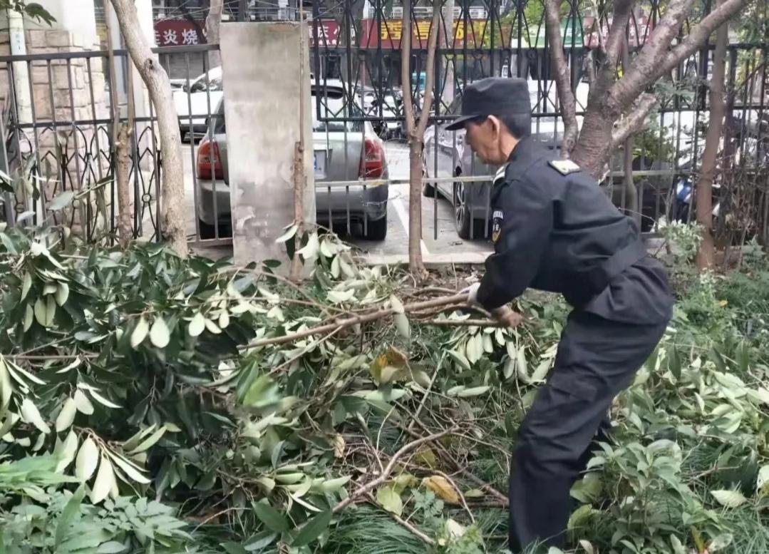 从今天开始，我们保安班又多了一项工作，那就是给园区绿植浇水，修剪绿植。因为物业聘