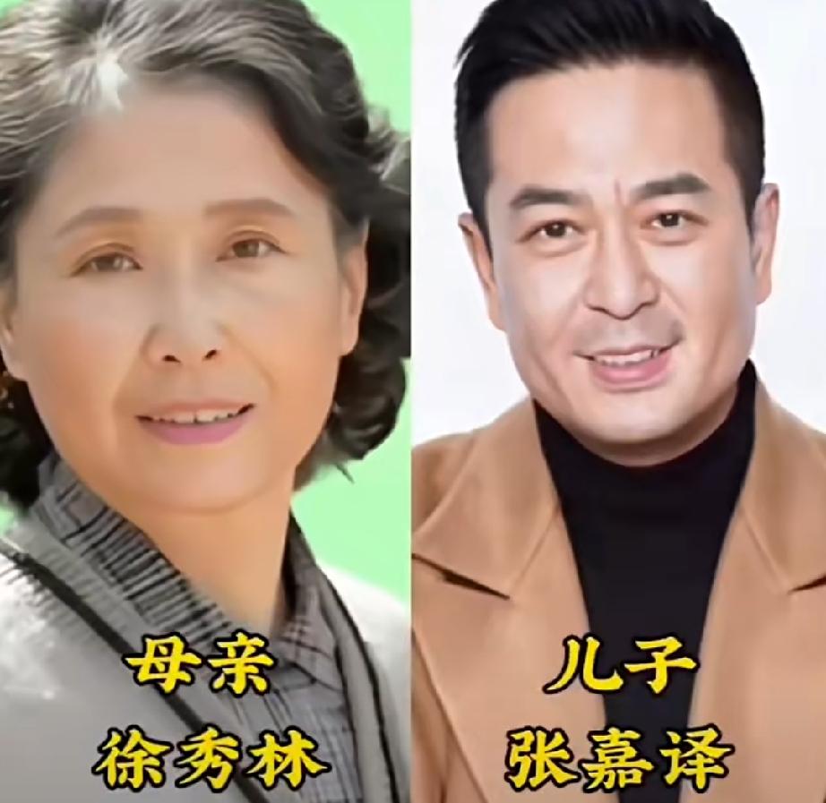 老戏骨母子颜值演技对决，同框对比谁更胜一筹，哪对母子是实力派