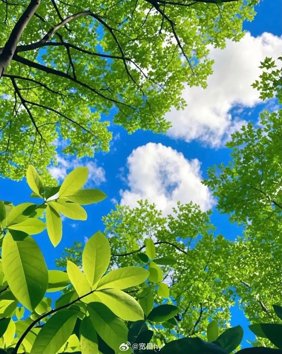 高考716分男生中考语文仅98分祝福 西安·华严寺