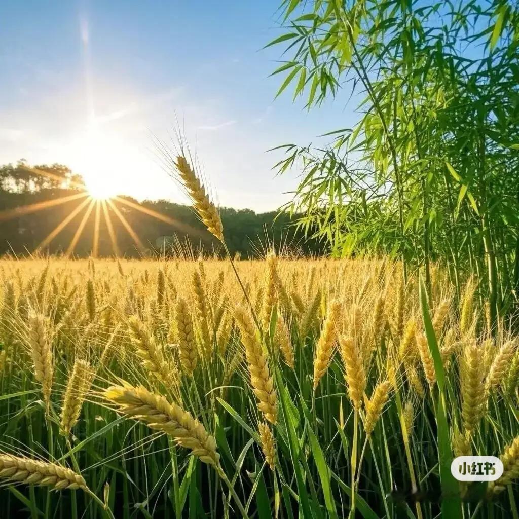 长期照顾老人真的特别折磨人，特别像我这种全职照顾老人的，没有别的事可做，每天面对